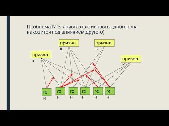 Проблема №3: эпистаз (активность одного гена находится под влиянием другого)