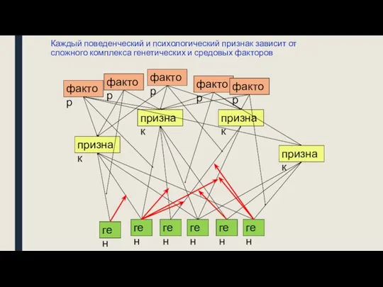 Каждый поведенческий и психологический признак зависит от сложного комплекса генетических