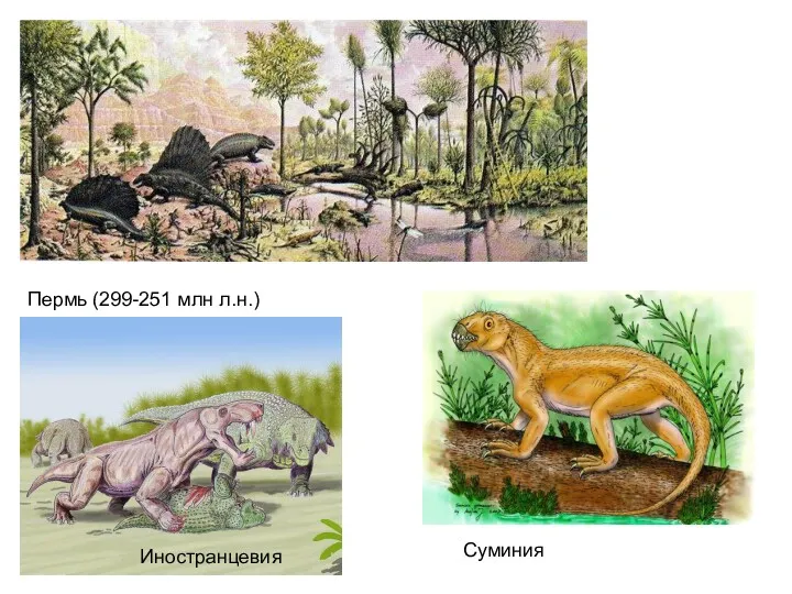 Пермь (299-251 млн л.н.) Суминия Иностранцевия