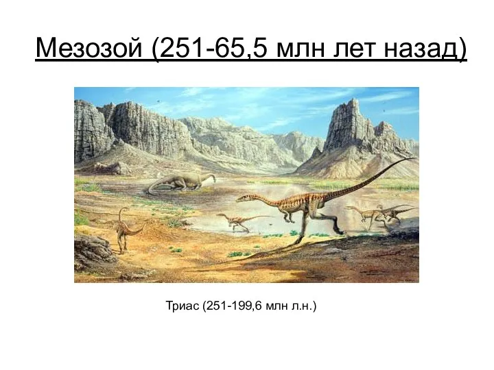 Мезозой (251-65,5 млн лет назад) Триас (251-199,6 млн л.н.)