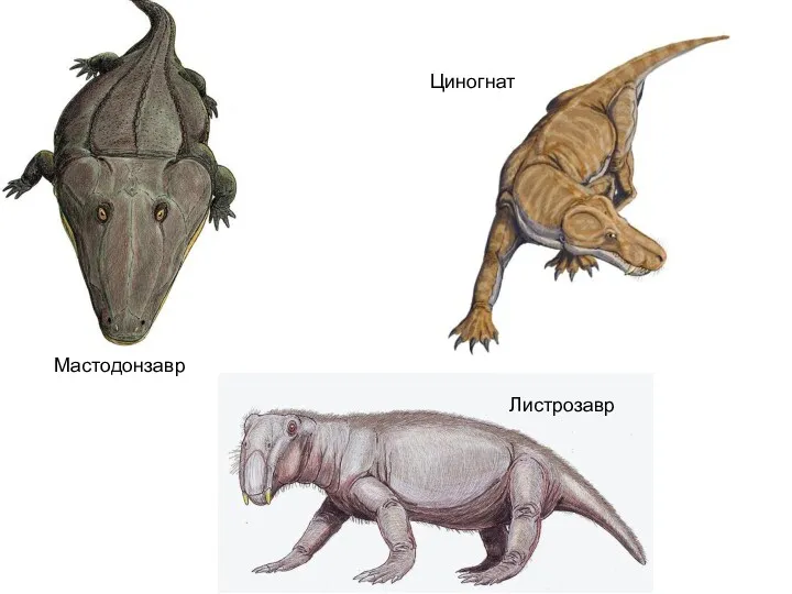 Мастодонзавр Циногнат Листрозавр