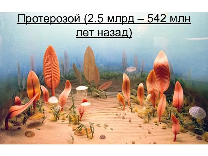 Протерозой (2,5 млрд – 542 млн лет назад)