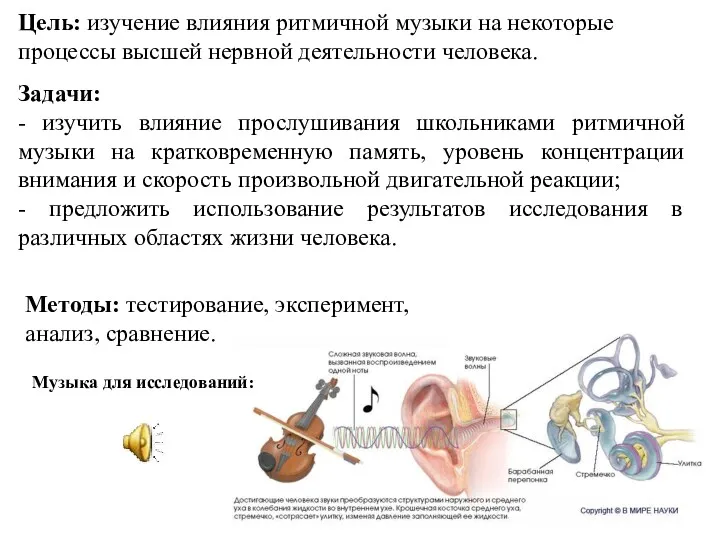 Цель: изучение влияния ритмичной музыки на некоторые процессы высшей нервной