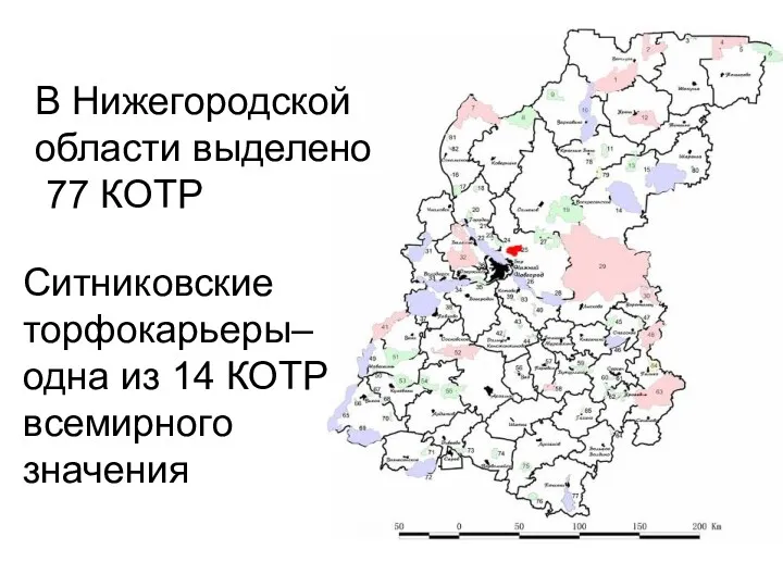 В Нижегородской области выделено 77 КОТР Ситниковские торфокарьеры– одна из 14 КОТР всемирного значения