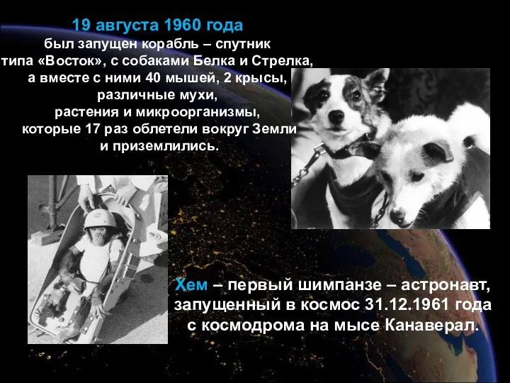 19 августа 1960 года был запущен корабль – спутник типа