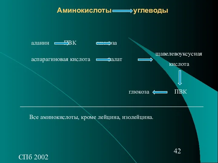 СПб 2002 Аминокислоты углеводы аланин ПВК глюкоза аспарагиновая кислота малат