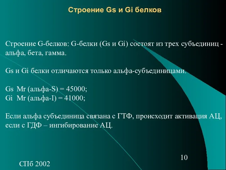 СПб 2002 Строение Gs и Gi белков Строение G-белков: G-белки