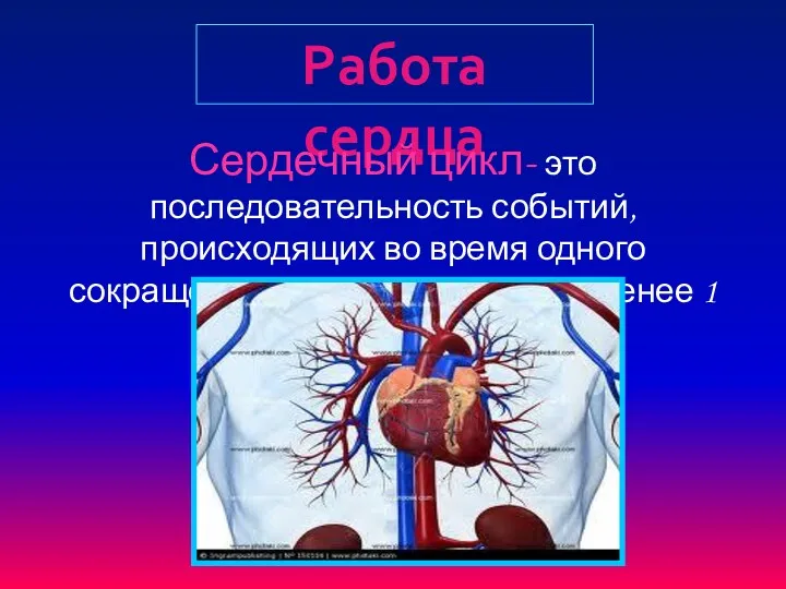 Работа сердца Сердечный цикл- это последовательность событий, происходящих во время