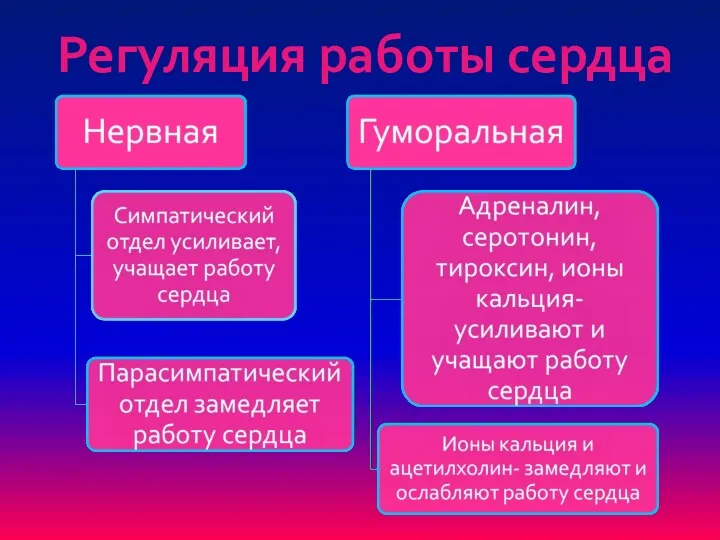 Регуляция работы сердца