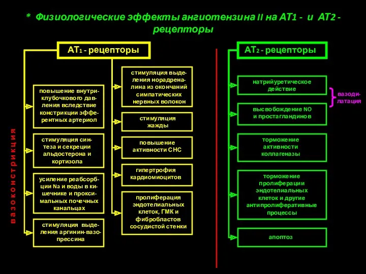 * Физиологические эффекты ангиотензина II на АТ1 - и АТ2