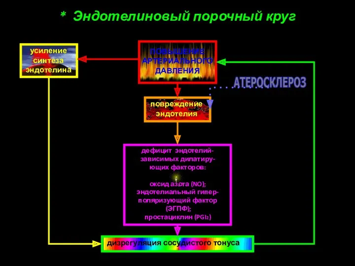 * Эндотелиновый порочный круг ПОВЫШЕНИЕ АРТЕРИАЛЬНОГО ДАВЛЕНИЯ усиление синтеза эндотелина