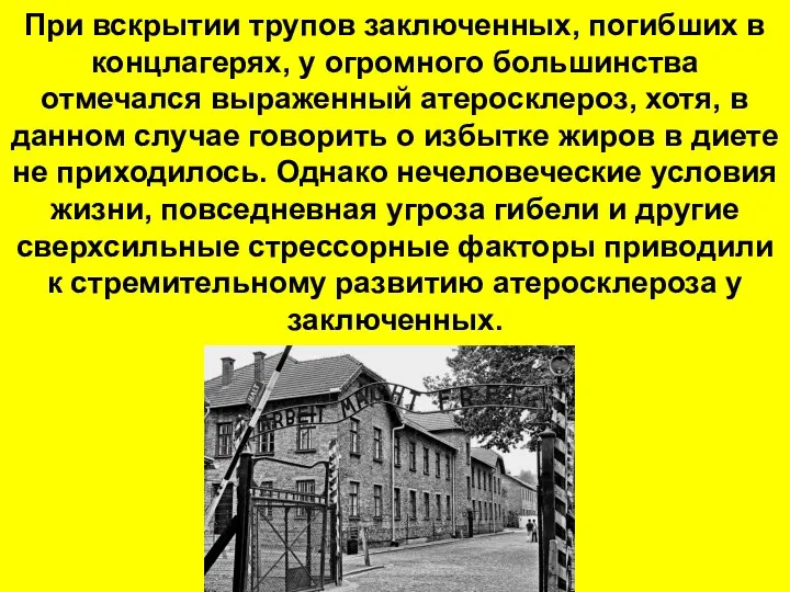 При вскрытии трупов заключенных, погибших в концлагерях, у огромного большинства