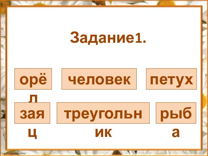 Задание1. орёл человек петух заяц треугольник рыба