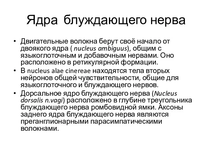 Ядра блуждающего нерва Двигательные волокна берут своё начало от двоякого ядра ( nucleus