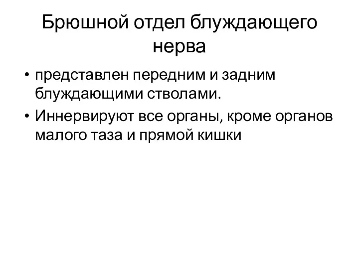 Брюшной отдел блуждающего нерва представлен передним и задним блуждающими стволами. Иннервируют все органы,