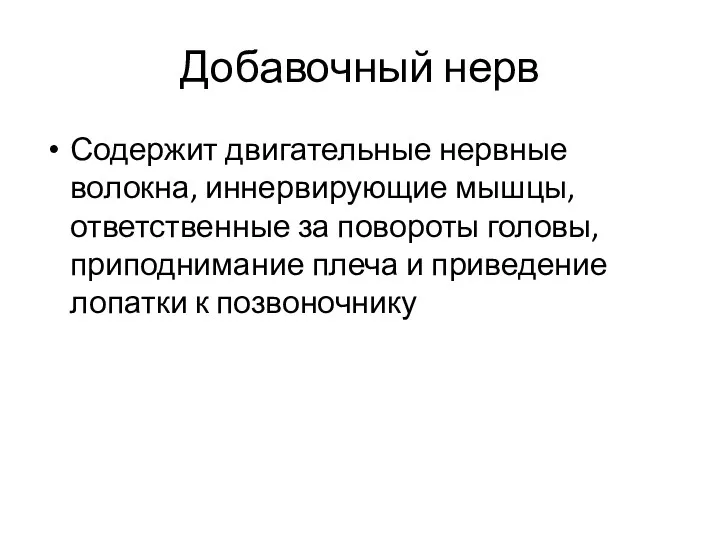 Добавочный нерв Содержит двигательные нервные волокна, иннервирующие мышцы, ответственные за повороты головы, приподнимание