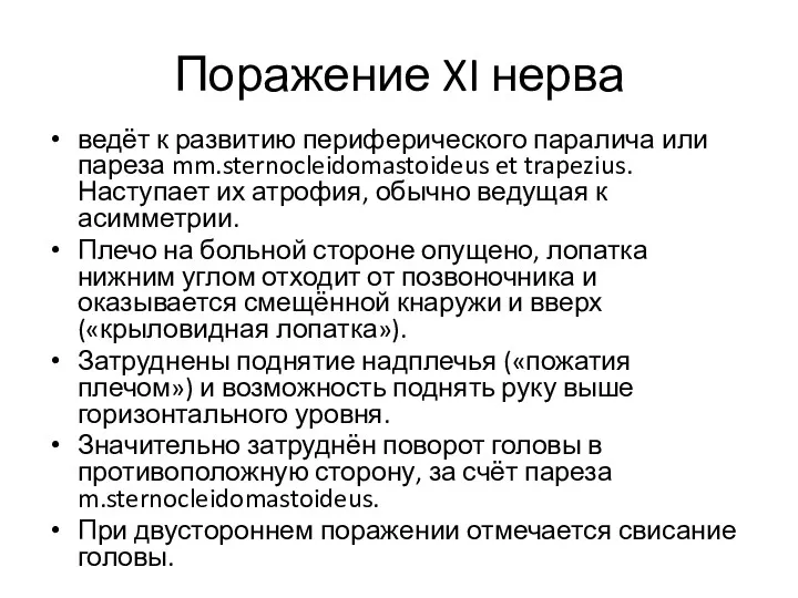 Поражение XI нерва ведёт к развитию периферического паралича или пареза