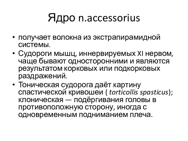 Ядро n.accessorius получает волокна из экстрапирамидной системы. Судороги мышц, иннервируемых