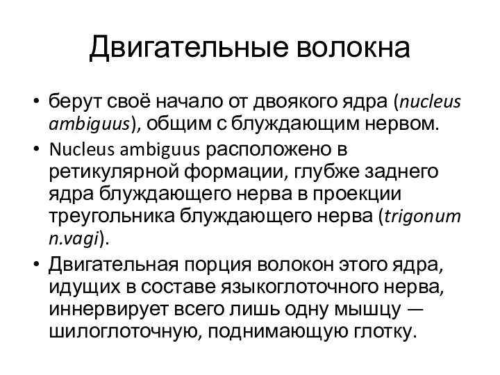 Двигательные волокна берут своё начало от двоякого ядра (nucleus ambiguus), общим с блуждающим