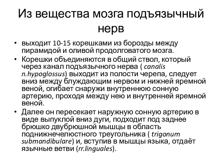 Из вещества мозга подъязычный нерв выходит 10-15 корешками из борозды между пирамидой и