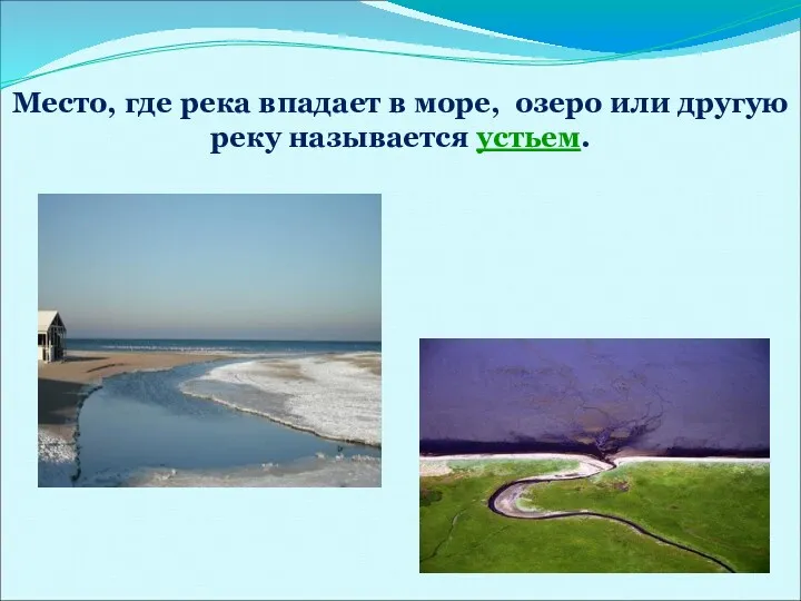 Место, где река впадает в море, озеро или другую реку называется устьем.