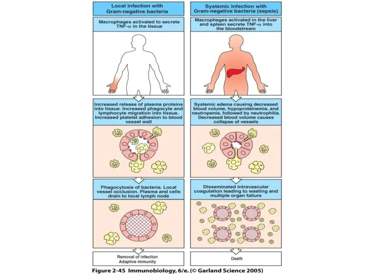 Figure 2-45