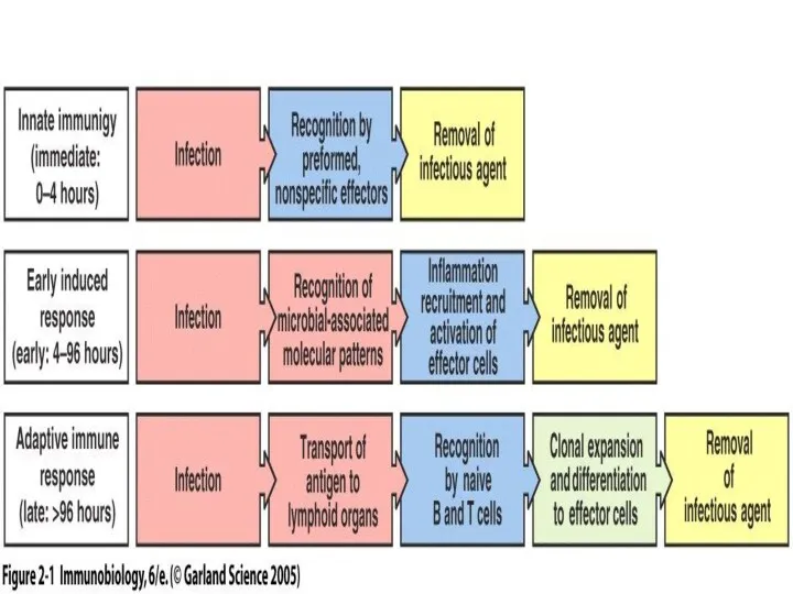 Figure 2-1