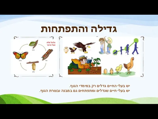 גדילה והתפתחות יש בעלי החיים גדלים רק במימדי הגוף. יש