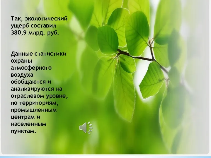 Так, экологический ущерб составил 380,9 млрд. руб. Данные статистики охраны