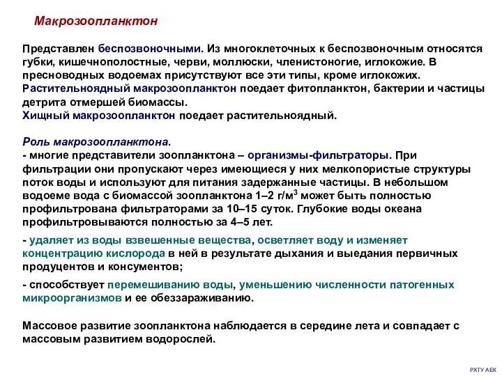 РХТУ АЕК Макрозоопланктон Представлен беспозвоночными. Из многоклеточных к беспозвоночным относятся