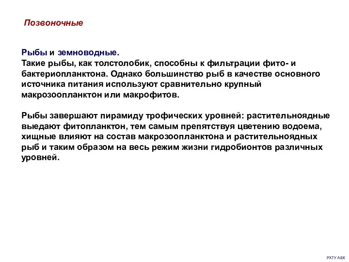 РХТУ АЕК Позвоночные Рыбы и земноводные. Такие рыбы, как толстолобик,