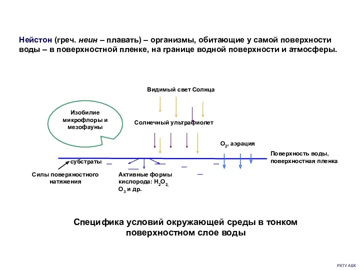 РХТУ АЕК Специфика условий окружающей среды в тонком поверхностном слое