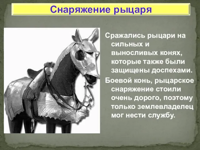 Сражались рыцари на сильных и выносливых конях, которые также были