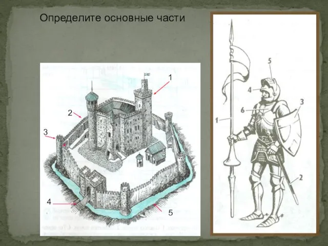 1 2 4 5 3 Определите основные части