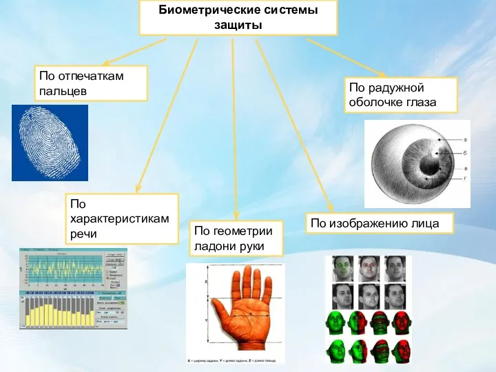 Биометрические системы защиты По отпечаткам пальцев По характеристикам речи По