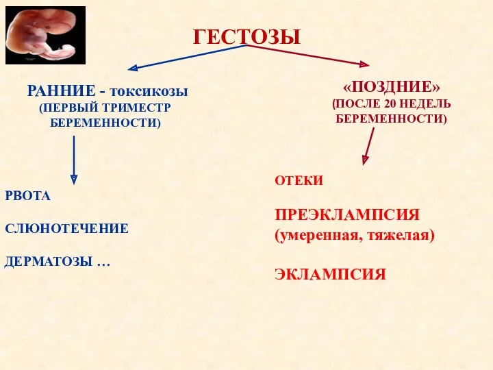 ГЕСТОЗЫ РАННИЕ - токсикозы (ПЕРВЫЙ ТРИМЕСТР БЕРЕМЕННОСТИ) «ПОЗДНИЕ» (ПОСЛЕ 20