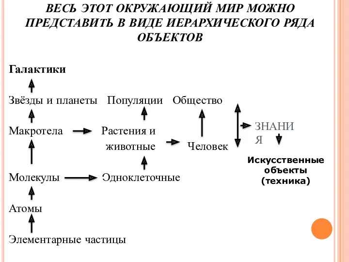 ВЕСЬ ЭТОТ ОКРУЖАЮЩИЙ МИР МОЖНО ПРЕДСТАВИТЬ В ВИДЕ ИЕРАРХИЧЕСКОГО РЯДА