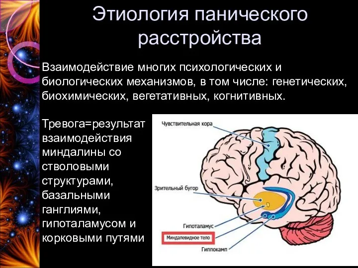 Этиология панического расстройства Взаимодействие многих психологических и биологических механизмов, в