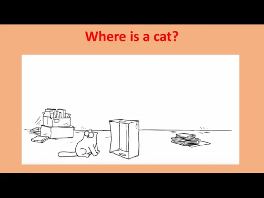 Where is a cat?