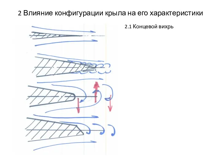 2 Влияние конфигурации крыла на его характеристики 2.1 Концевой вихрь