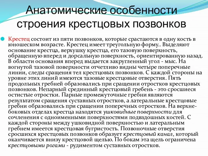 Анатомические особенности строения крестцовых позвонков Крестец состоит из пяти позвонков,