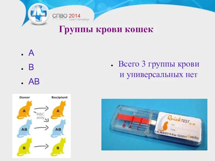 Группы крови кошек А В АВ Всего 3 группы крови и универсальных нет