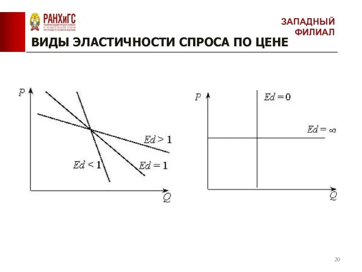 ВИДЫ ЭЛАСТИЧНОСТИ СПРОСА ПО ЦЕНЕ ЗАПАДНЫЙ ФИЛИАЛ