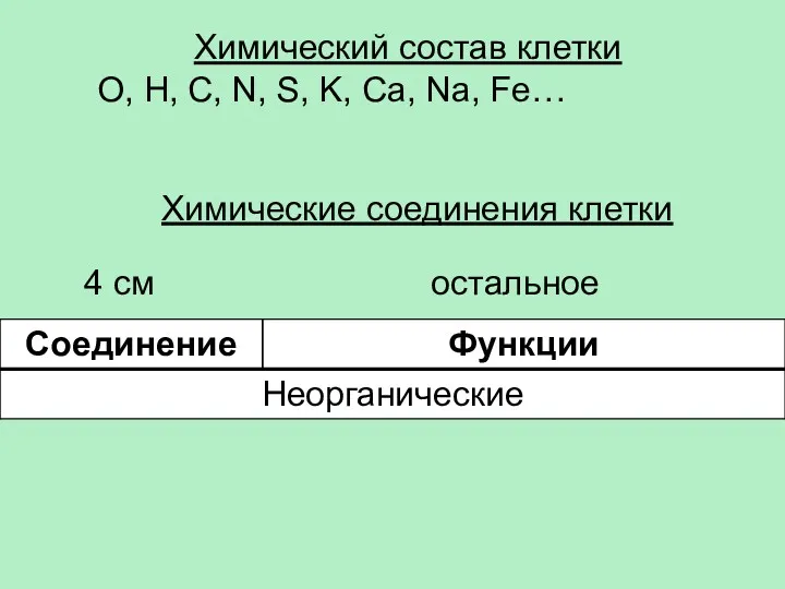 Химический состав клетки O, H, C, N, S, K, Ca,