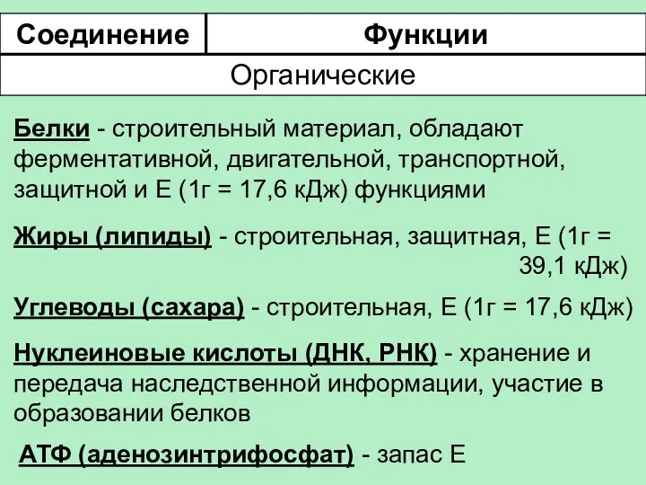 Белки - строительный материал, обладают ферментативной, двигательной, транспортной, защитной и