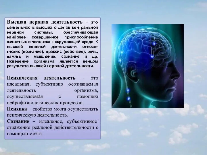 Высшая нервная деятельность – это деятельность высших отделов центральной нервной