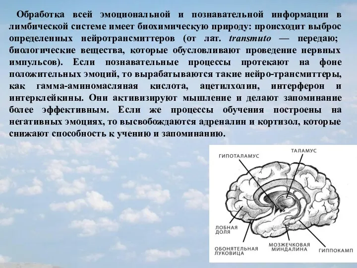 Обработка всей эмоциональной и познавательной информации в лимбической системе имеет