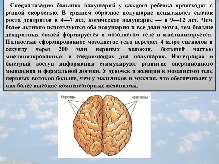 Специализация больших полушарий у каждого ребенка происходит с разной скоростью.