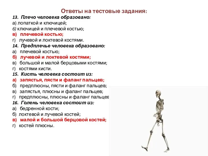 Ответы на тестовые задания: 13. Плечо человека образовано: а) лопаткой и ключицей; 6)