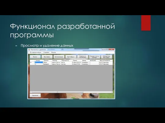 Функционал разработанной программы Просмотр и удаление данных